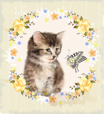 Vintage kartı kabarık kedi yavrusu, gül ve kelebek. Taklit