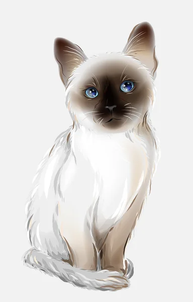 Retrato del gato tailandés — Vector de stock