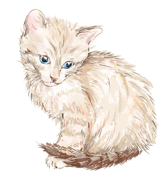 Hand drawn portrait of the kitten — Stock Vector