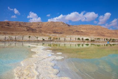 İsrail ölü deniz kıyısında
