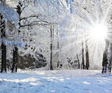  Noel güneşli sabah