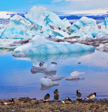 ice  lagoon Jokulsarlonin