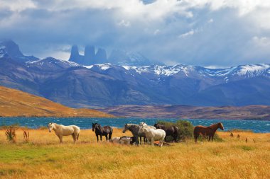 çok yüksek kayalıklarla Torres del Paine
