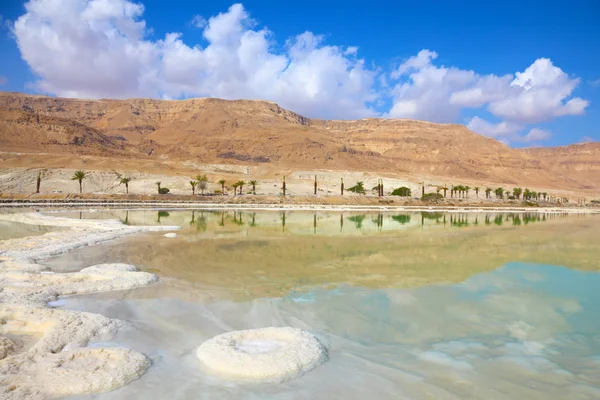 Ufer des Toten Meeres in Israel — Stockfoto