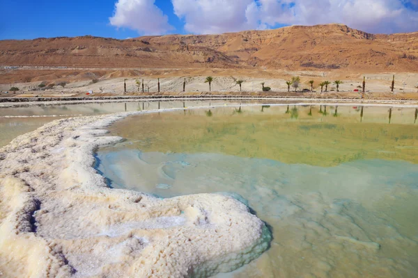 Ölü Deniz uzun bir parça tuz kurdu — Stok fotoğraf