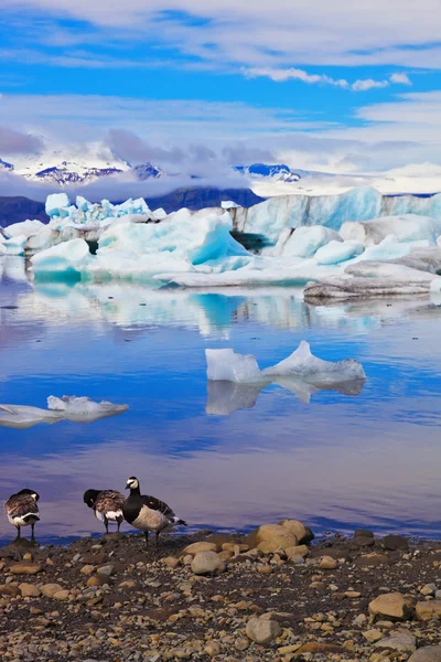 Иокульсарлонская ледниковая лагуна — стоковое фото