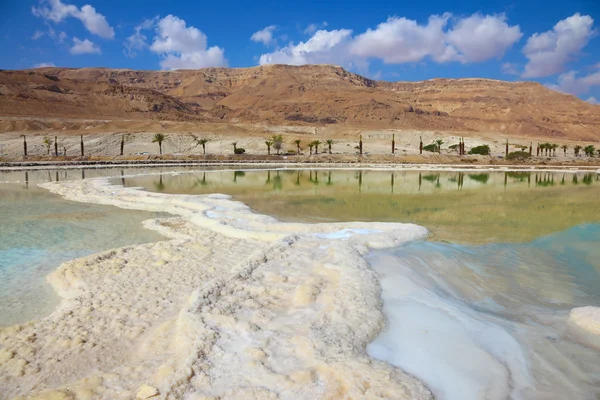 Sraeli coast of the Dead Sea — Stock Photo, Image