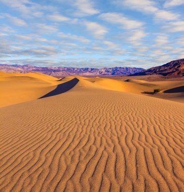 Mesquite Flat Sand Dones
