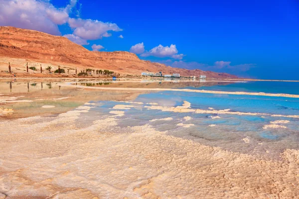 Dead Sea in Israel — Stock Photo, Image