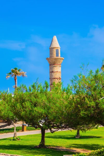 Minaret sur les arbres à Césarée — Photo