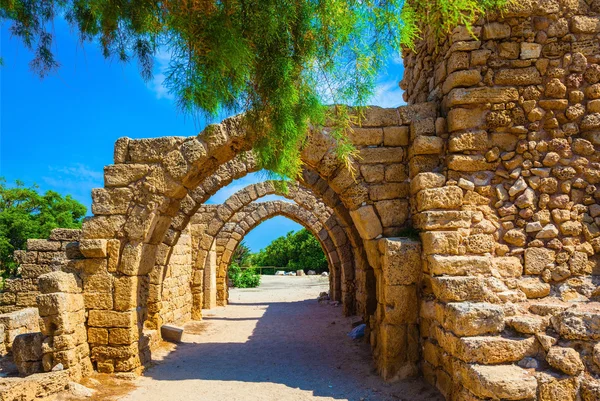 Ancient arched ceiling of stalls — Stock Photo, Image