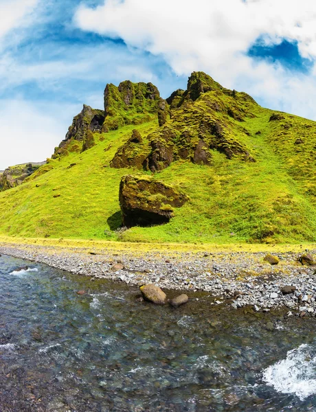 Green grass and moss on rocks — Stok fotoğraf