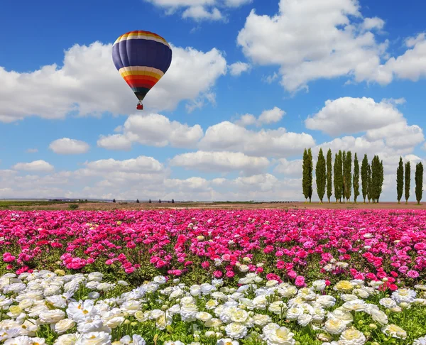 Stor ballong över fältet — Stockfoto