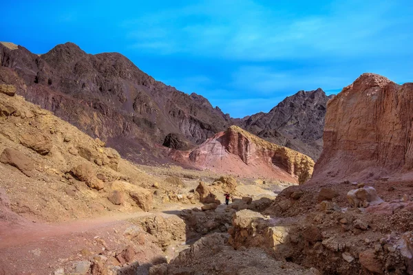 Desierto de piedra seca —  Fotos de Stock