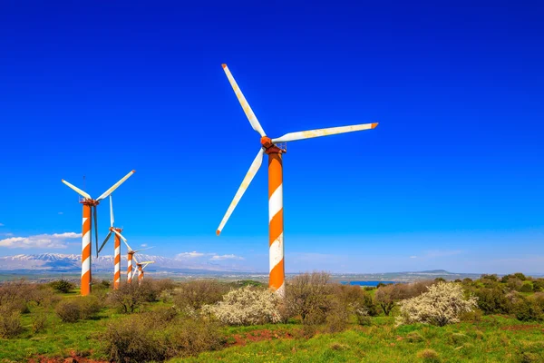 いくつかの巨大な近代的な風車 — ストック写真