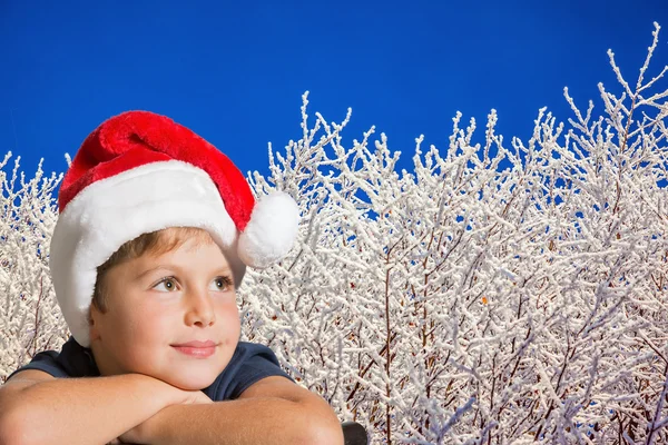 Chłopiec i pokryte śniegiem Boże Narodzenie drewna — Zdjęcie stockowe