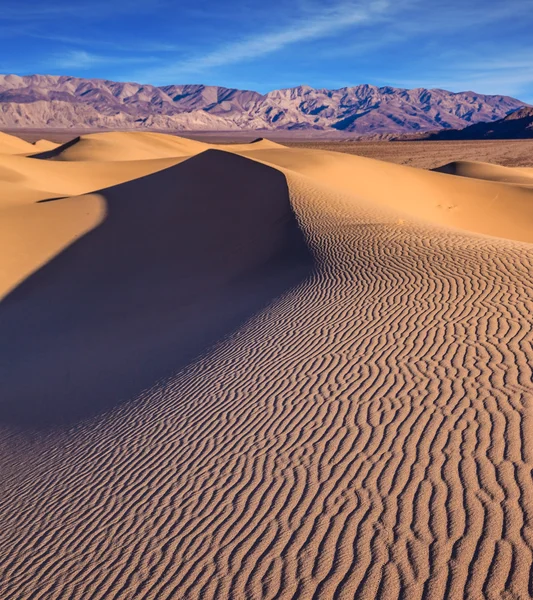 Dunas de areia planas Mesquite — Fotografia de Stock