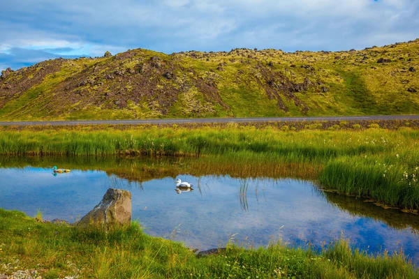 Lago com água termal e patos — Fotografia de Stock