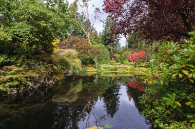 Fantastik çiçek Butchart Gardens, Amerika Birleşik Devletleri