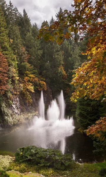 Butchart Gardens on Vancouver Island — Stock Photo, Image