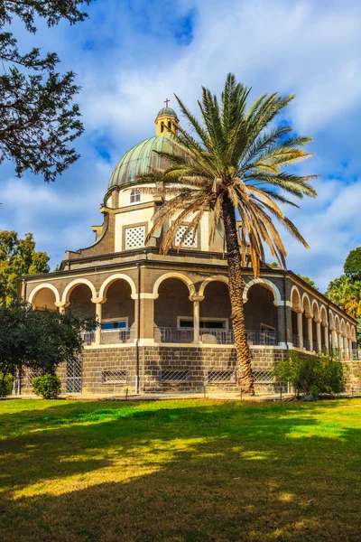 Subtle shade of palms and cypresses — Stock Photo, Image