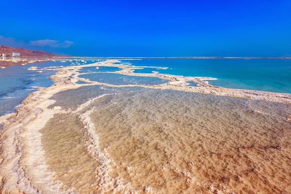 在海岸的以色列死海 — 图库照片