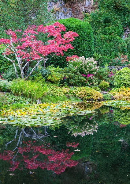 Verbazingwekkende landschap en floral park — Stockfoto