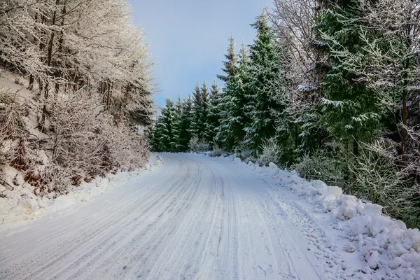 A pista de esqui passa em madeira coberta de neve — Fotografia de Stock