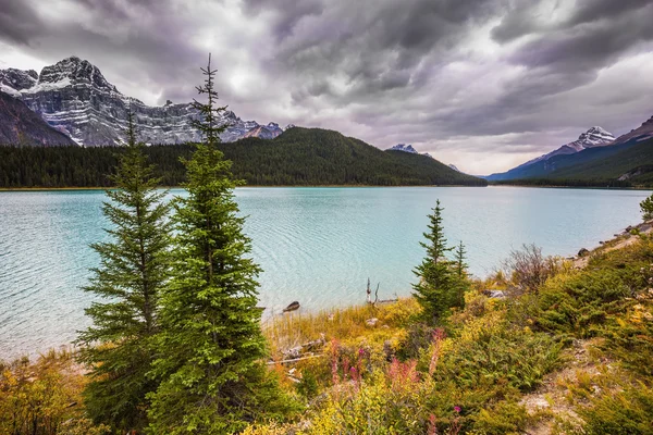 Lago Autumn Bow en el Parque Nacional Banff —  Fotos de Stock