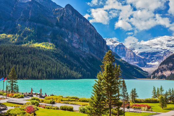 Flowers on embankment of glacial Lake Louise