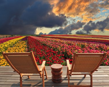 Dinlenmek için iki şezlong 