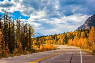 Otoyol ve turuncu sonbahar ormanı 
