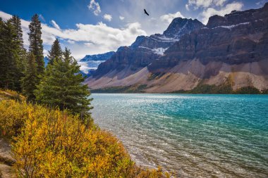 Banff Ulusal Parkı 'nda Bow Gölü 