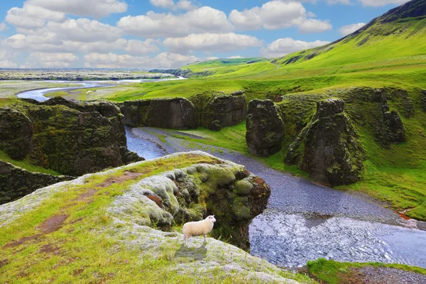 Canyon del Dreamland Fjadrargljufur — Foto Stock