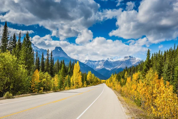 Uitstekende snelweg en omgeven door herfst bossen — Stockfoto