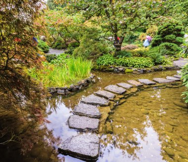 Batı Kanada'da dekoratif özel Bahçe