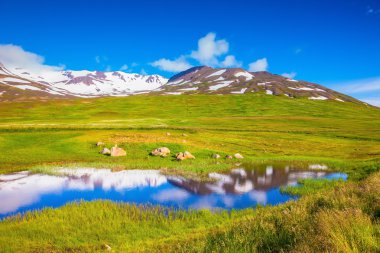 Taze yeşil çimen, İzlanda ile alanlar