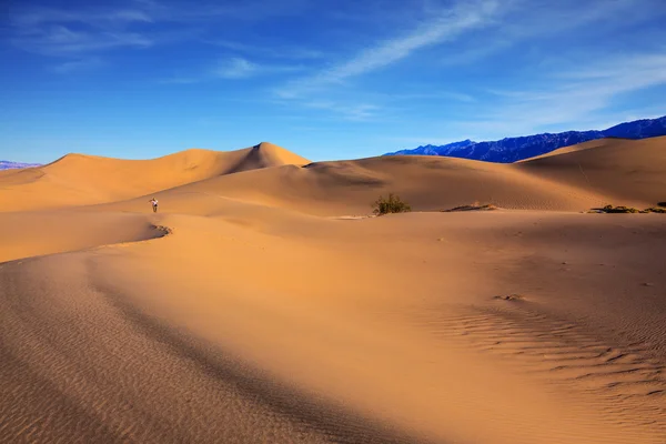 Mulher fotógrafa entre dunas de areia — Fotografia de Stock