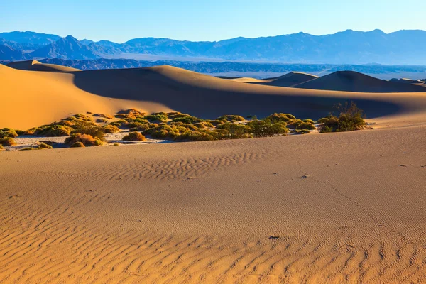 Sand dunes in Death Valley — Stock Photo, Image