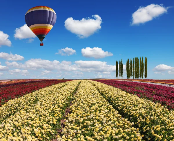 Riesenballon über Feld — Stockfoto