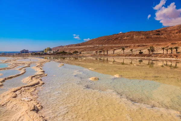 Sal evaporada del agua — Foto de Stock