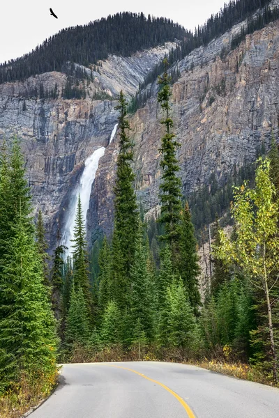 Góry Skaliste Kanady, Park Narodowy Yoho — Zdjęcie stockowe
