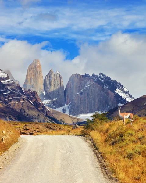 Parc national dans le sud du Chili — Photo