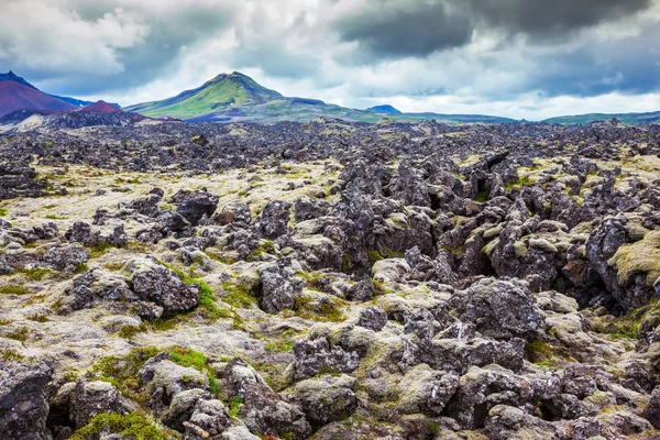 Felder mit Lava bedeckt, Island — Stockfoto