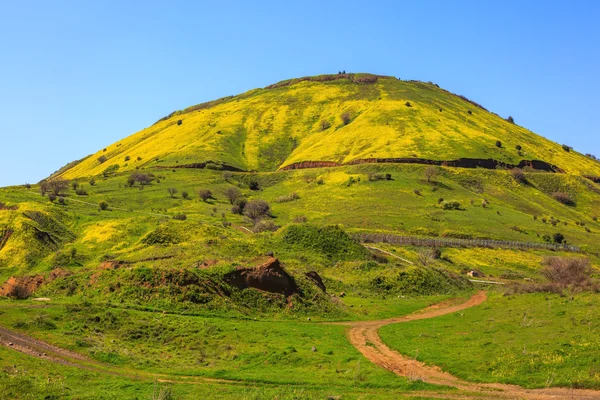 Legendary Golan Heights — Stock Photo, Image