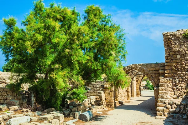 National park Caesarea on the Mediterranean Sea — Stock Photo, Image