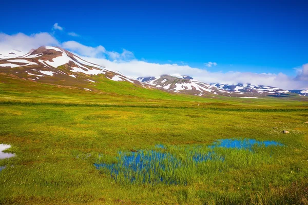 Verão Islândia. Pequeno lago entre os campos — Fotografia de Stock