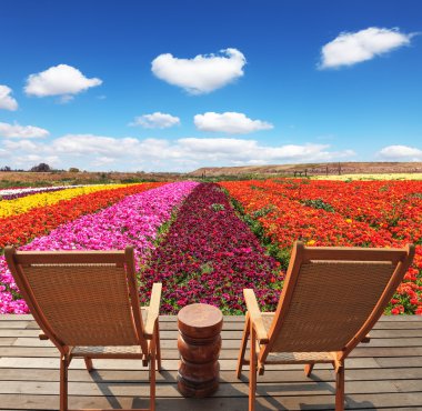  The chaise lounges for rest  