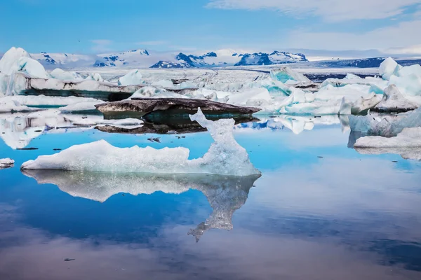 Glaces flottantes et icebergs — Photo