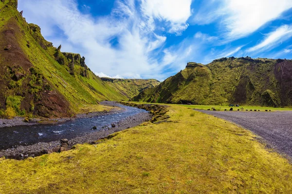 Islandia kwitnący lato — Zdjęcie stockowe